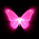 Papillon n�on rose et aura