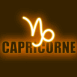 N�on zodiaque capricorne