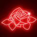 Rose n�on rouge